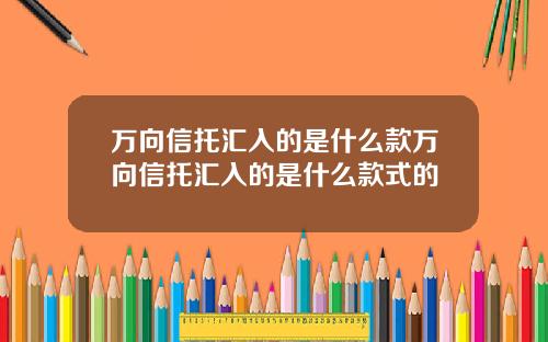 万向信托汇入的是什么款万向信托汇入的是什么款式的