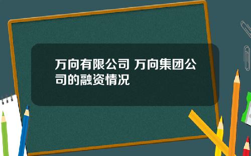 万向有限公司 万向集团公司的融资情况
