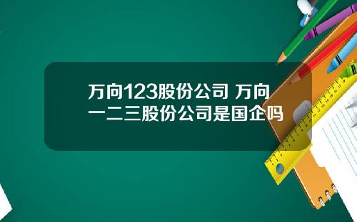 万向123股份公司 万向一二三股份公司是国企吗