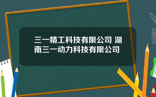 三一精工科技有限公司 湖南三一动力科技有限公司