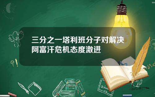 三分之一塔利班分子对解决阿富汗危机态度激进