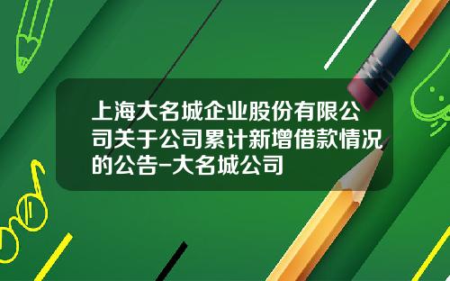 上海大名城企业股份有限公司关于公司累计新增借款情况的公告-大名城公司