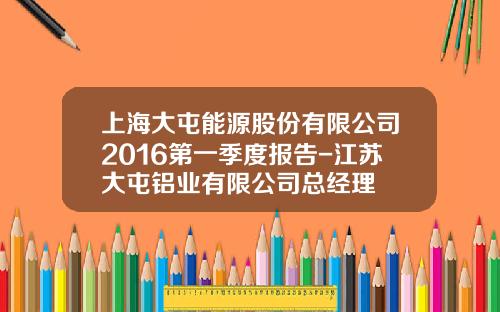 上海大屯能源股份有限公司2016第一季度报告-江苏大屯铝业有限公司总经理