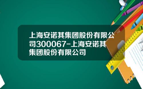 上海安诺其集团股份有限公司300067-上海安诺其集团股份有限公司