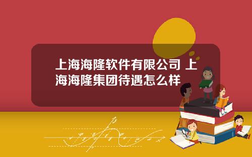 上海海隆软件有限公司 上海海隆集团待遇怎么样