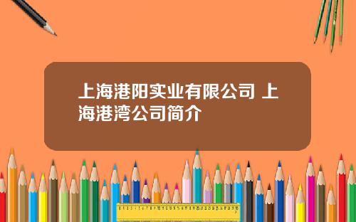 上海港阳实业有限公司 上海港湾公司简介