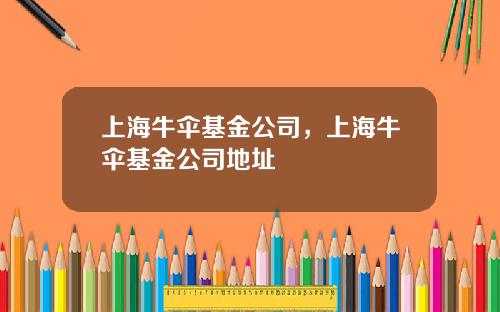上海牛伞基金公司，上海牛伞基金公司地址