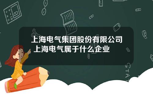 上海电气集团股份有限公司 上海电气属于什么企业