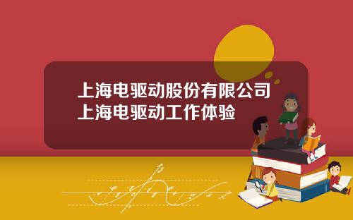 上海电驱动股份有限公司 上海电驱动工作体验