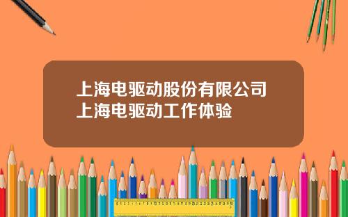 上海电驱动股份有限公司 上海电驱动工作体验