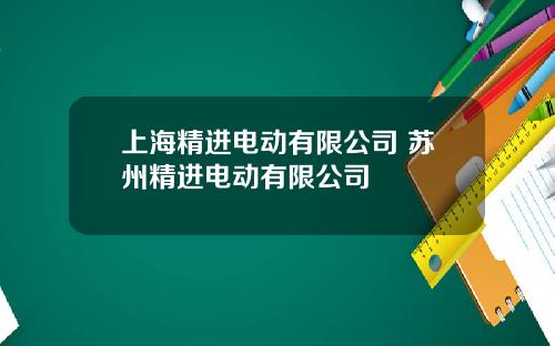 上海精进电动有限公司 苏州精进电动有限公司