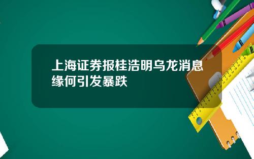 上海证券报桂浩明乌龙消息缘何引发暴跌