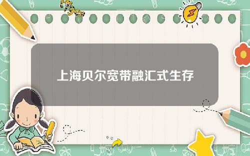 上海贝尔宽带融汇式生存