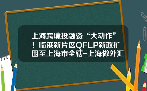上海跨境投融资“大动作”！临港新片区QFLP新政扩围至上海市全辖-上海做外汇的投资公司