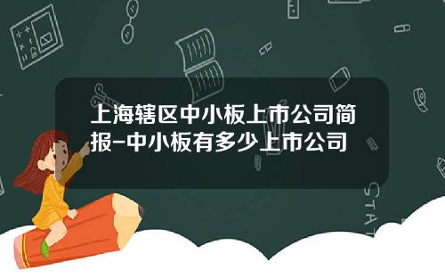 上海辖区中小板上市公司简报-中小板有多少上市公司
