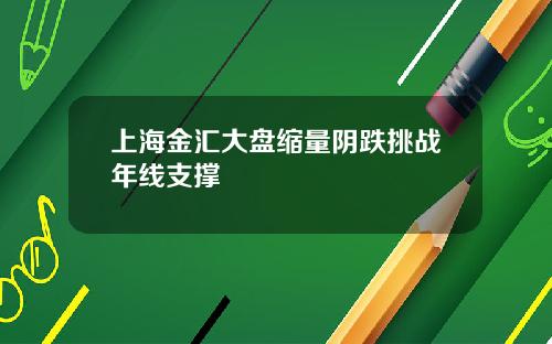 上海金汇大盘缩量阴跌挑战年线支撑