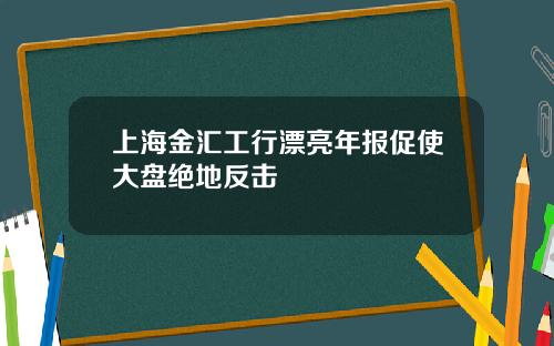 上海金汇工行漂亮年报促使大盘绝地反击