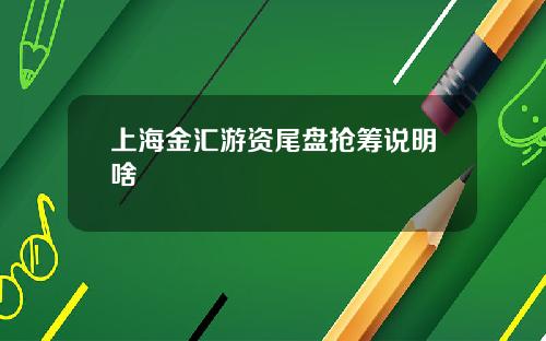 上海金汇游资尾盘抢筹说明啥