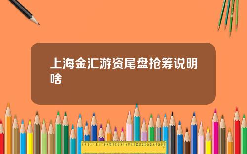上海金汇游资尾盘抢筹说明啥