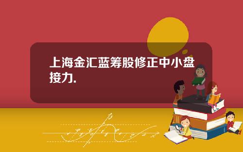 上海金汇蓝筹股修正中小盘接力.