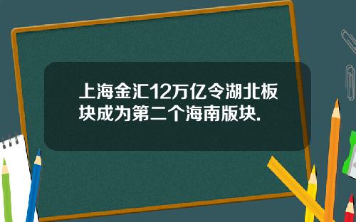 上海金汇12万亿令湖北板块成为第二个海南版块.