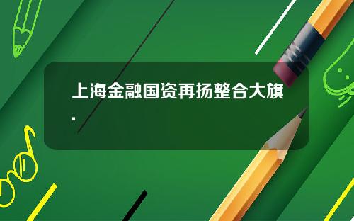 上海金融国资再扬整合大旗.