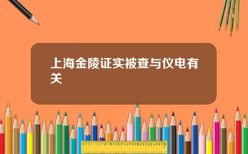 上海金陵证实被查与仪电有关