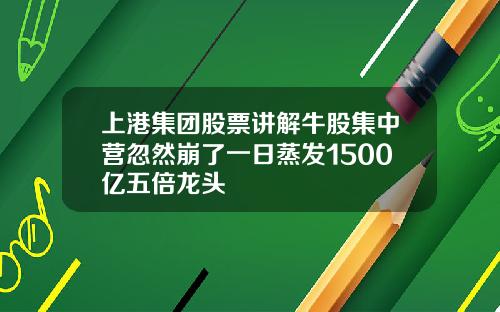 上港集团股票讲解牛股集中营忽然崩了一日蒸发1500亿五倍龙头