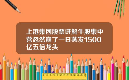 上港集团股票讲解牛股集中营忽然崩了一日蒸发1500亿五倍龙头
