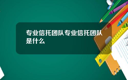 专业信托团队专业信托团队是什么