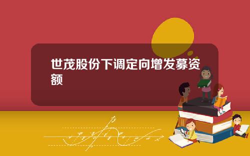 世茂股份下调定向增发募资额