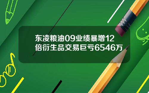 东凌粮油09业绩暴增12倍衍生品交易巨亏6546万