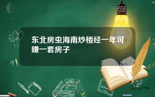 东北房虫海南炒楼经一年可赚一套房子