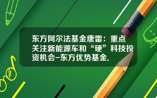 东方阿尔法基金唐雷：重点关注新能源车和“硬”科技投资机会-东方优势基金.