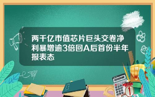 两千亿市值芯片巨头交卷净利暴增逾3倍回A后首份半年报表态