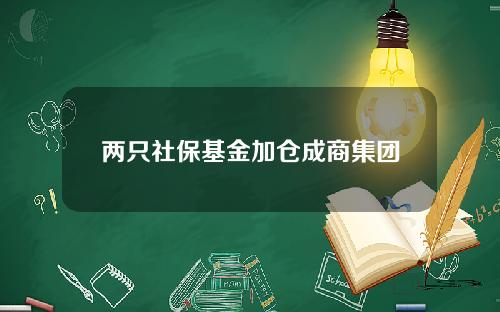 两只社保基金加仓成商集团