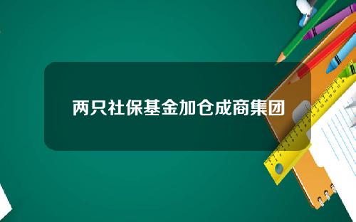 两只社保基金加仓成商集团