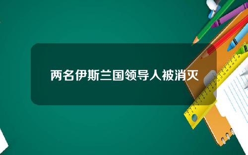 两名伊斯兰国领导人被消灭