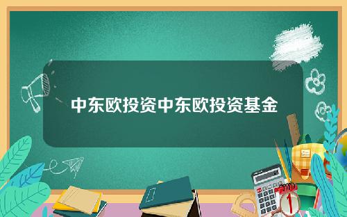 中东欧投资中东欧投资基金