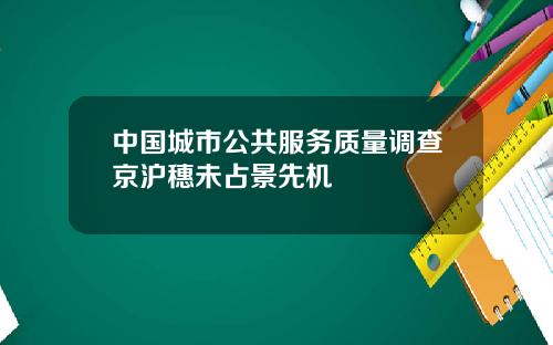 中国城市公共服务质量调查京沪穗未占景先机