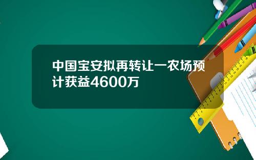 中国宝安拟再转让一农场预计获益4600万