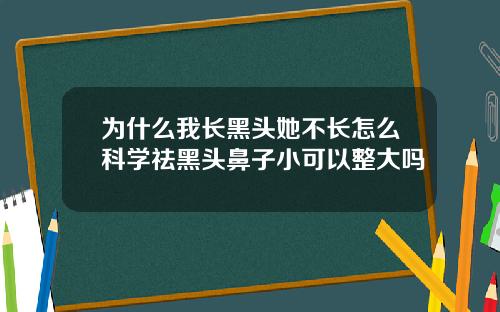 为什么我长黑头她不长怎么科学祛黑头鼻子小可以整大吗
