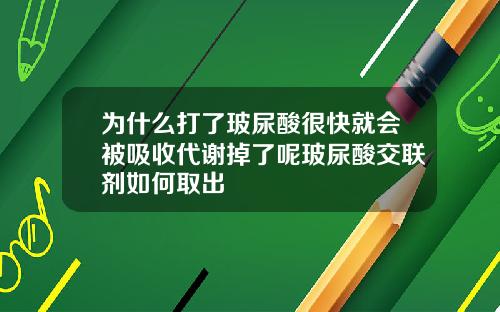 为什么打了玻尿酸很快就会被吸收代谢掉了呢玻尿酸交联剂如何取出
