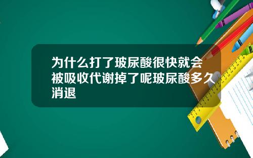为什么打了玻尿酸很快就会被吸收代谢掉了呢玻尿酸多久消退
