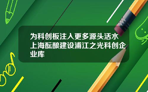 为科创板注入更多源头活水上海酝酿建设浦江之光科创企业库
