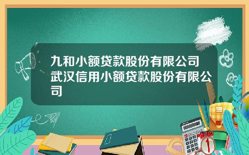 九和小额贷款股份有限公司武汉信用小额贷款股份有限公司