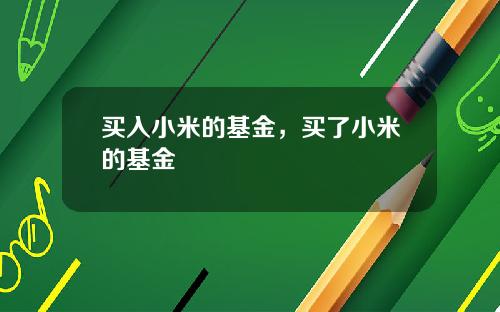买入小米的基金，买了小米的基金