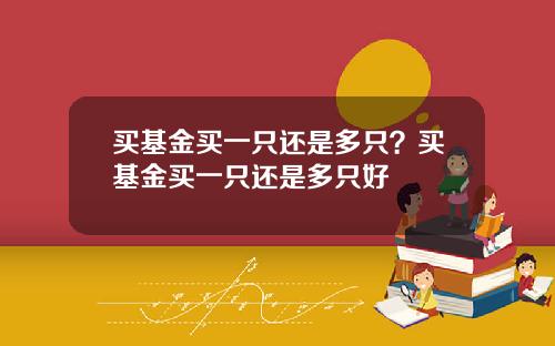 买基金买一只还是多只？买基金买一只还是多只好