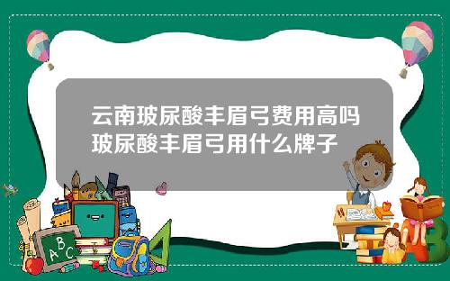 云南玻尿酸丰眉弓费用高吗玻尿酸丰眉弓用什么牌子