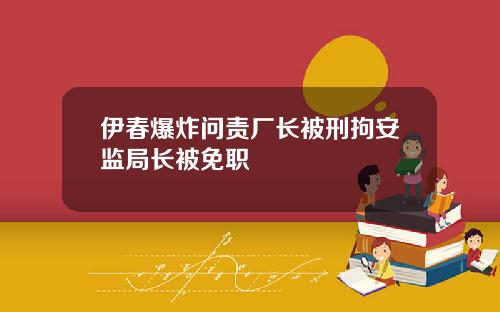 伊春爆炸问责厂长被刑拘安监局长被免职